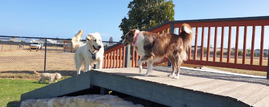 Port Elliot Dog Park