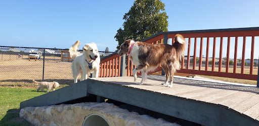 Port Elliot Fenced Dog Park