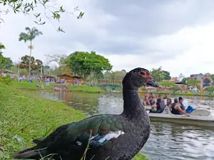 Lake La Pradera