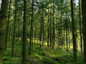 Uhrehøje Natur & Friluftsliv