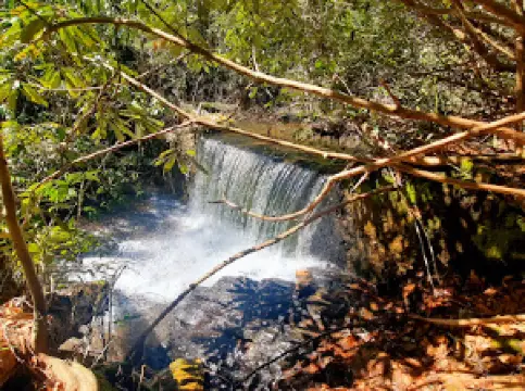 Piney Knob Trail System
