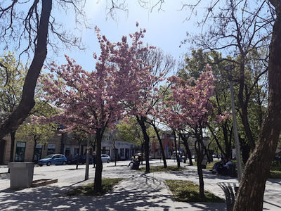Mali Park Šabac