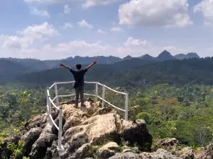 Hutan Pinus Kalilo