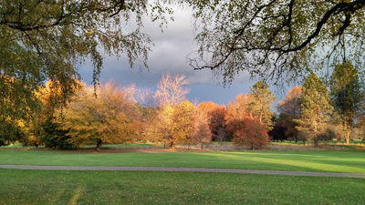 Mint Valley Golf Course