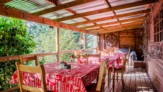 Midlands Garden Centre