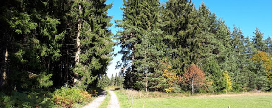 Tennisclub St. Georgen e.V.