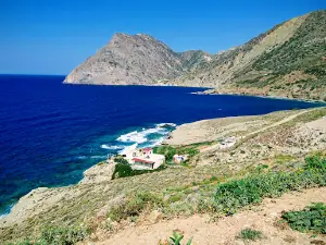 Paralia Richti