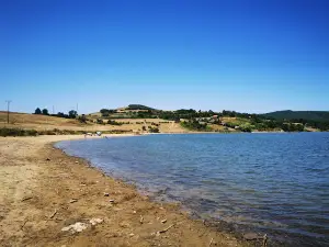 Pădureni
