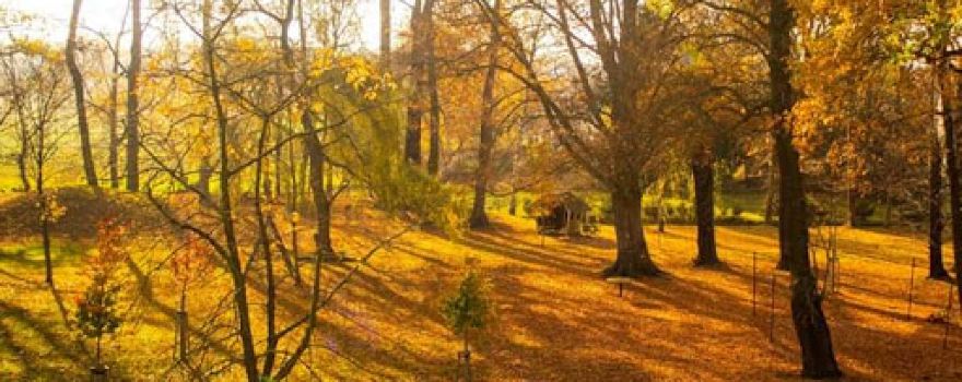 Mönauer Park