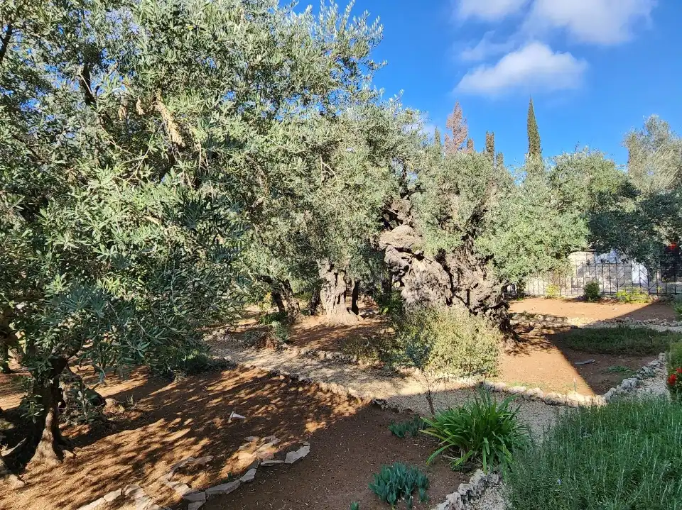 2_Gethsemane