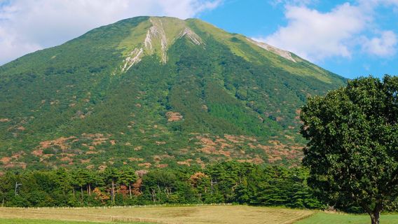 Daisen Makiba Milk Village