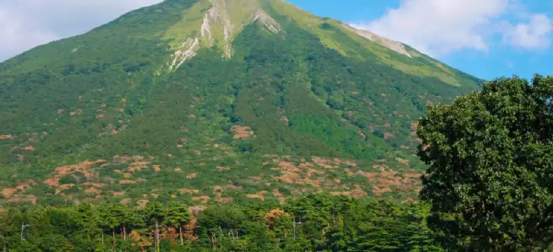 Hotels in Hoki
