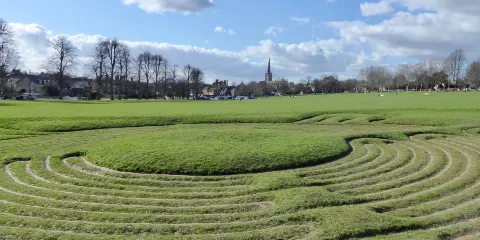 Saffron Walden Turf Maze
