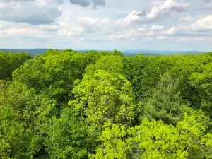 Taum Sauk Mountain State Park