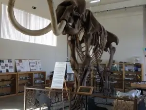 Fossil Discovery Center of Madera County