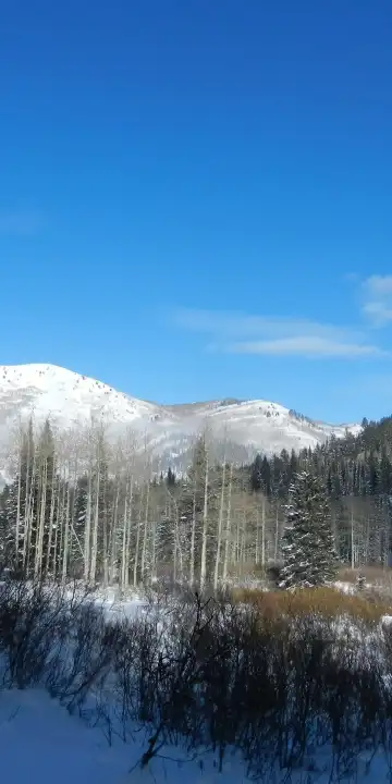 ミッドウェイのホテル