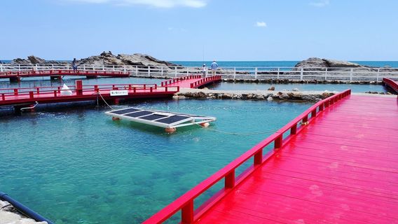 Futomi Flower surf fishing center