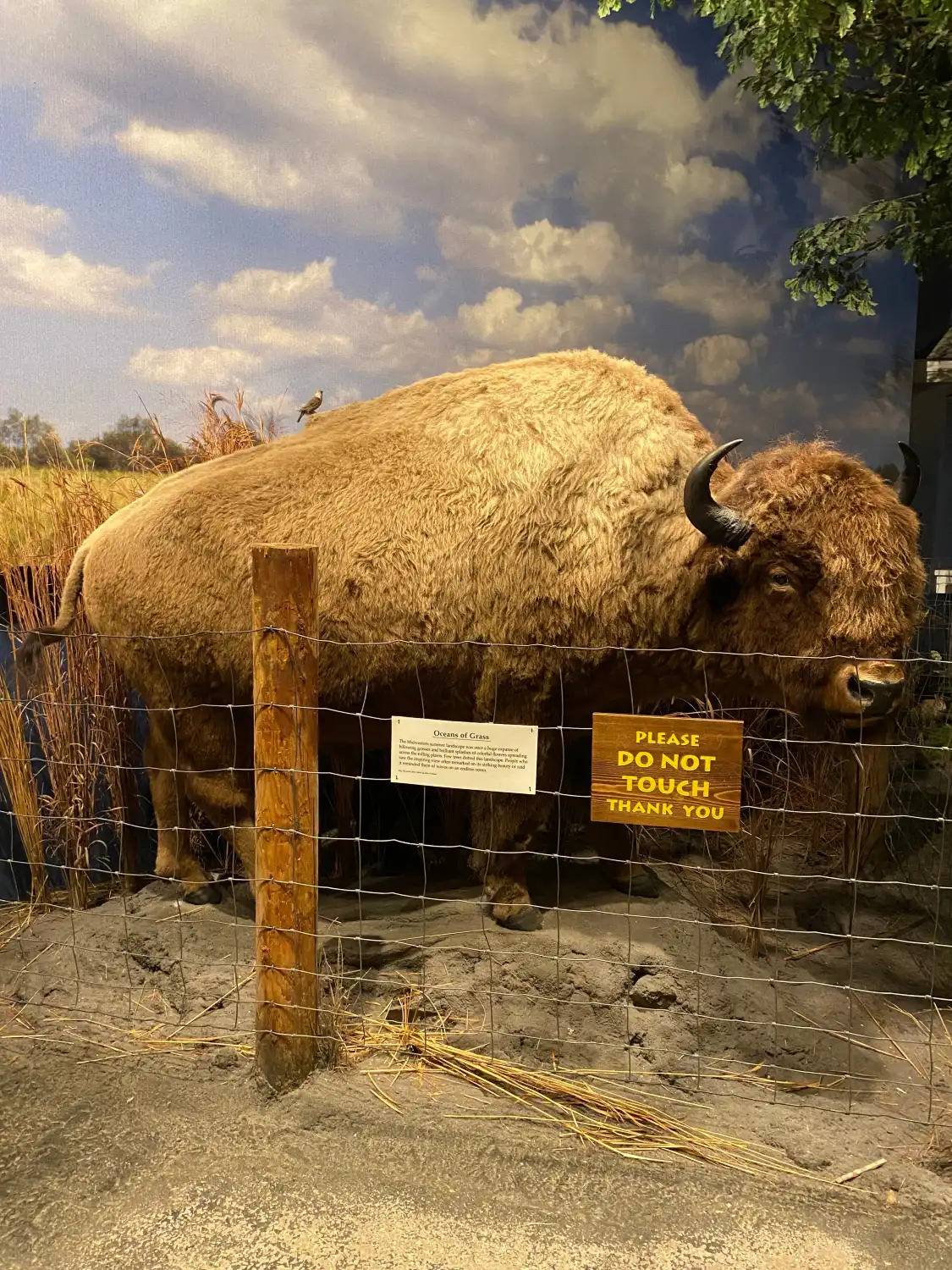 Hotels in der Nähe von Putnam Museum of History and Natural Science