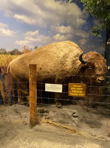 Putnam Museum of History and Natural Science