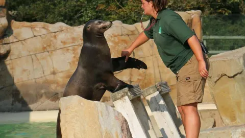 Blackpool Zoo attraction in 布萊克浦