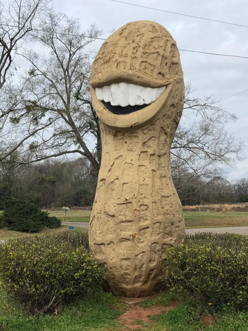 5_Jimmy Carter Peanut