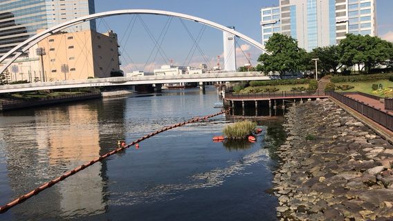 Higashi-Shinagawa Kaijo Park