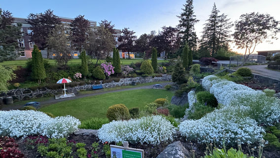 Sunken Gardens Park