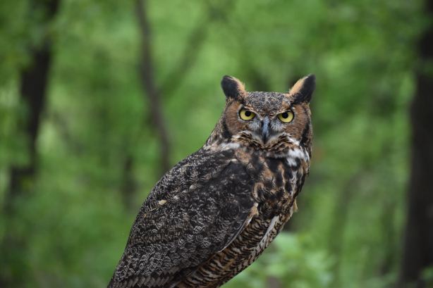 ワールド鳥類保護区