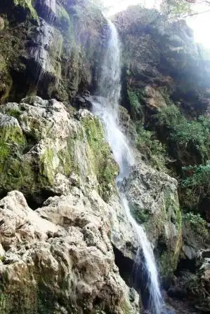 Hotels in Panchmahal