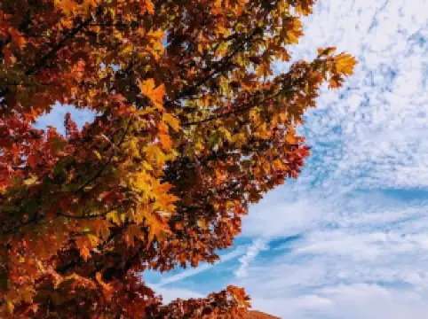 Elkins Depot Welcome Center