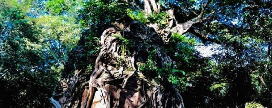 Prasat Sambour
