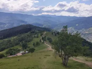 Stezhka Dovbusha