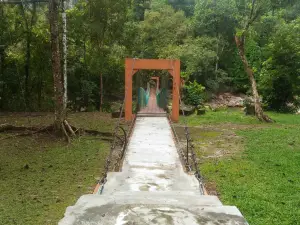 Kuala Woh Recreational Forest