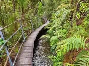 Pupu Hydro Walkway Trailhead