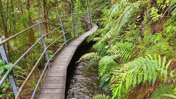 Pupu Hydro Walkway Trailhead