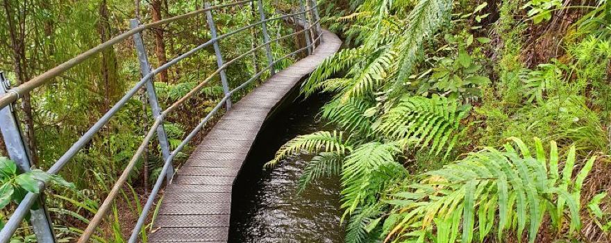 Pupu Hydro Walkway Trailhead