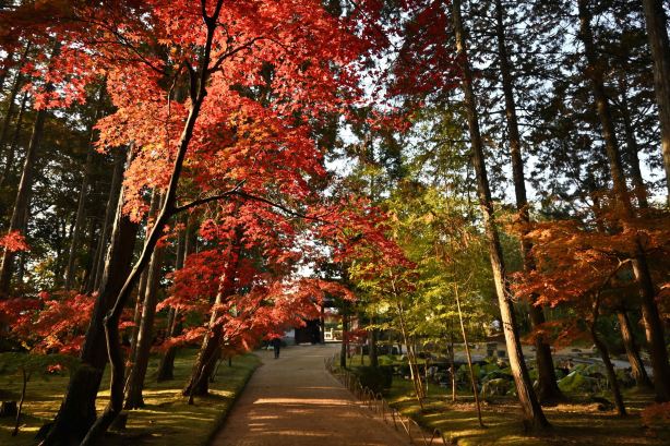 Sogen-ji Temple
