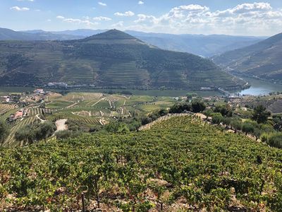 Quinta do Jalloto - Family vineyards