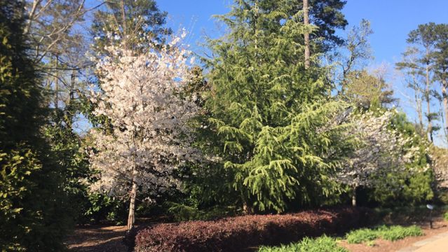Abernathy Greenway Park North