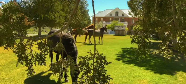 Hotels in Storey County