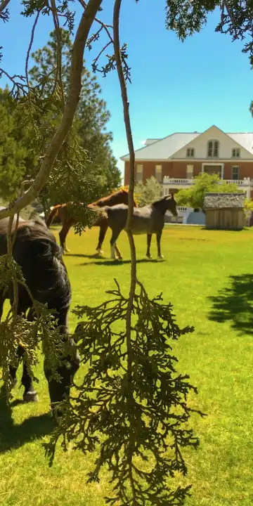 Hotels in Storey County