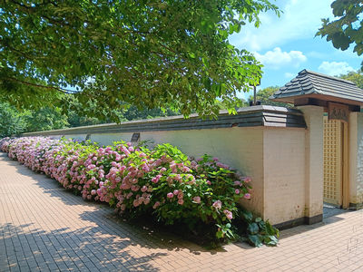 Japanse Tuin - Shin Kai Tei