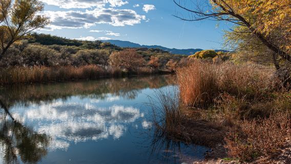 Tuzigoot River Access Point