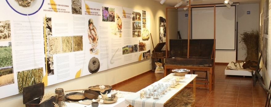 Museo de Interpretacion del Gofio (MIGO)