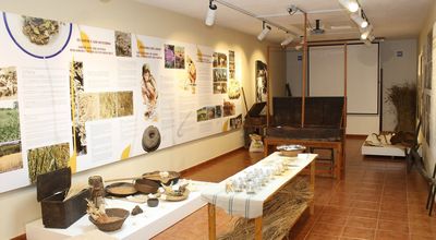 Museo de Interpretacion del Gofio (MIGO)
