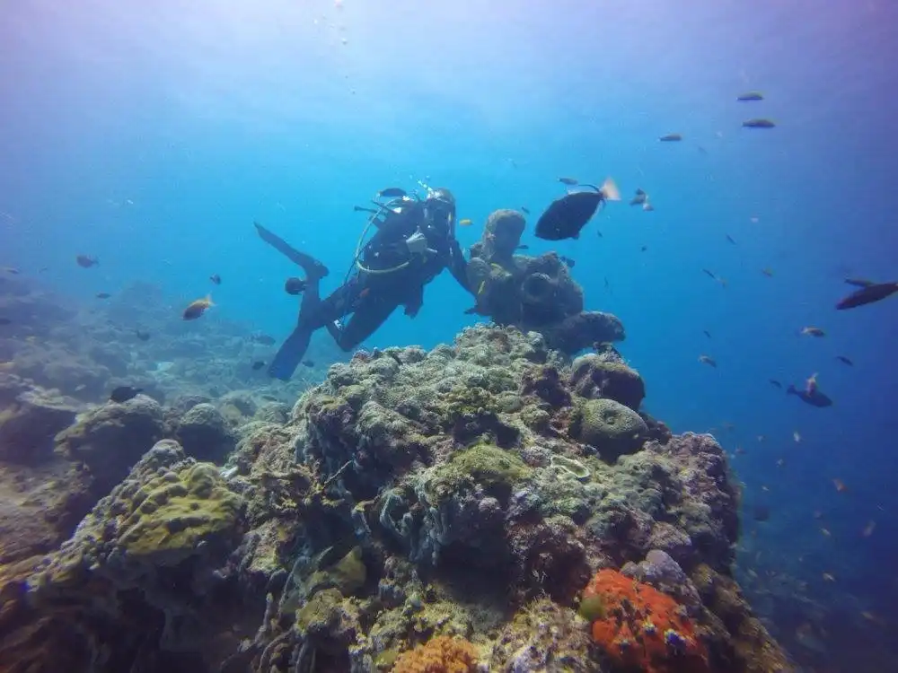 Hotels near Diventure Philippines
