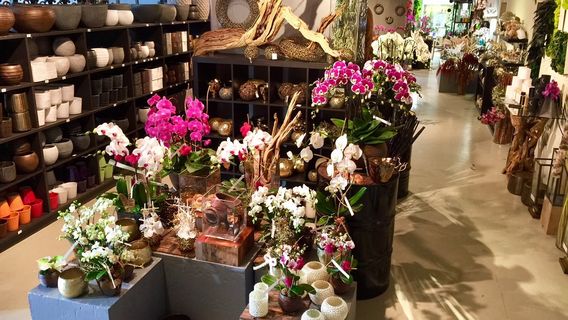 Orchidarium