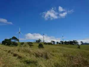 Windy Hill Wind Farm Viewing Area