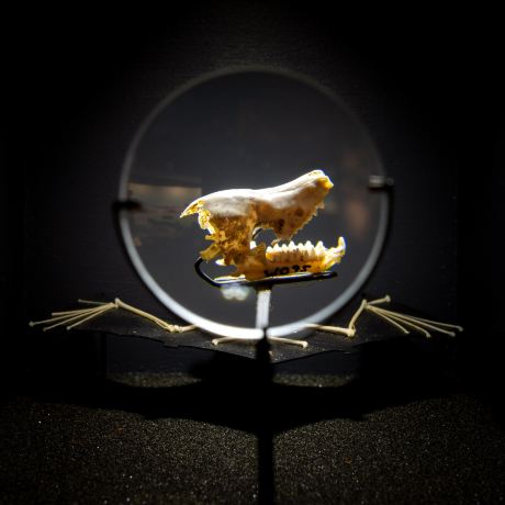 Waitomo Caves Museum and Discovery Centre