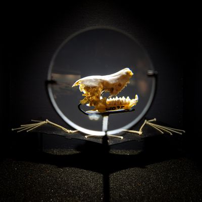 Waitomo Caves Museum and Discovery Centre